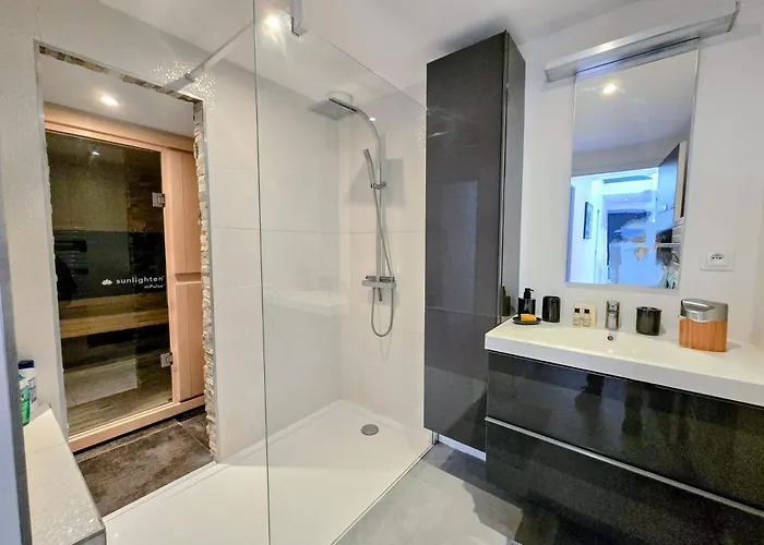 别墅 Centre Avec Sauna - Jacuzzi - Parking - 5 Etoiles *